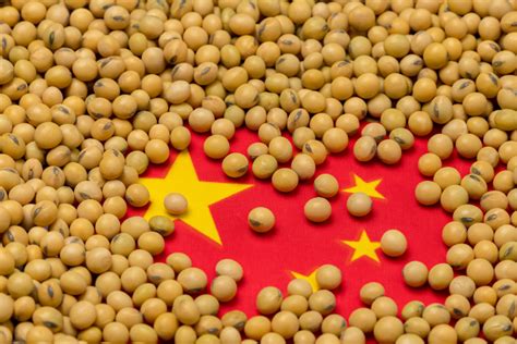 are soybeans from china safe to eat